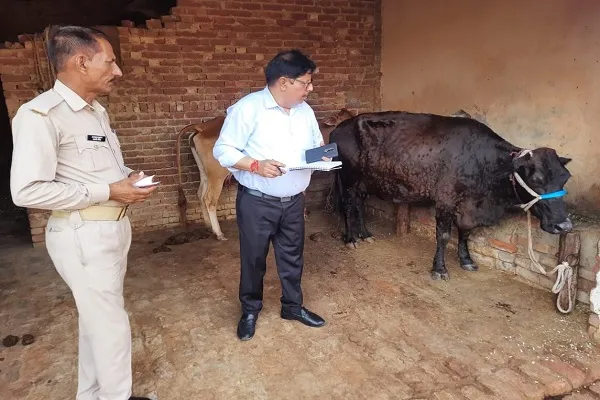 मुरादाबाद : लंपीपॉक्स के लक्षण वाले छह पशुओं के लिए सैंपल, जांच को भेजे
