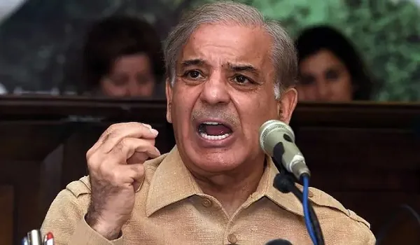 Pakistan : पीएम शहबाज शरीफ का बड़ा बयान, कहा- हम चाहते हैं ‘स्थाई शांति’, भारत के साथ युद्ध कोई विकल्प नहीं