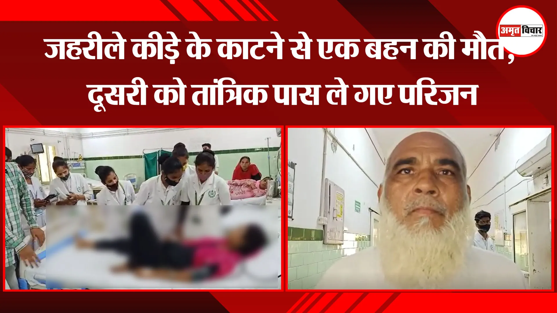 बरेली: जहरीले कीड़े के काटने से एक बहन की मौत, दूसरी को तांत्रिक पास ले गए परिजन