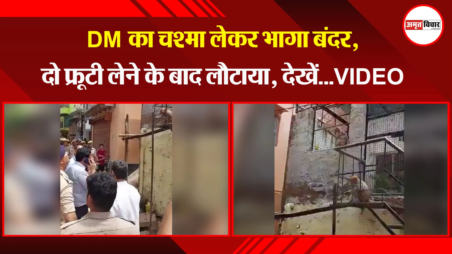 मथुरा: DM का चश्मा लेकर भागा बंदर, दो फ्रूटी लेने के बाद लौटाया, देखें…VIDEO