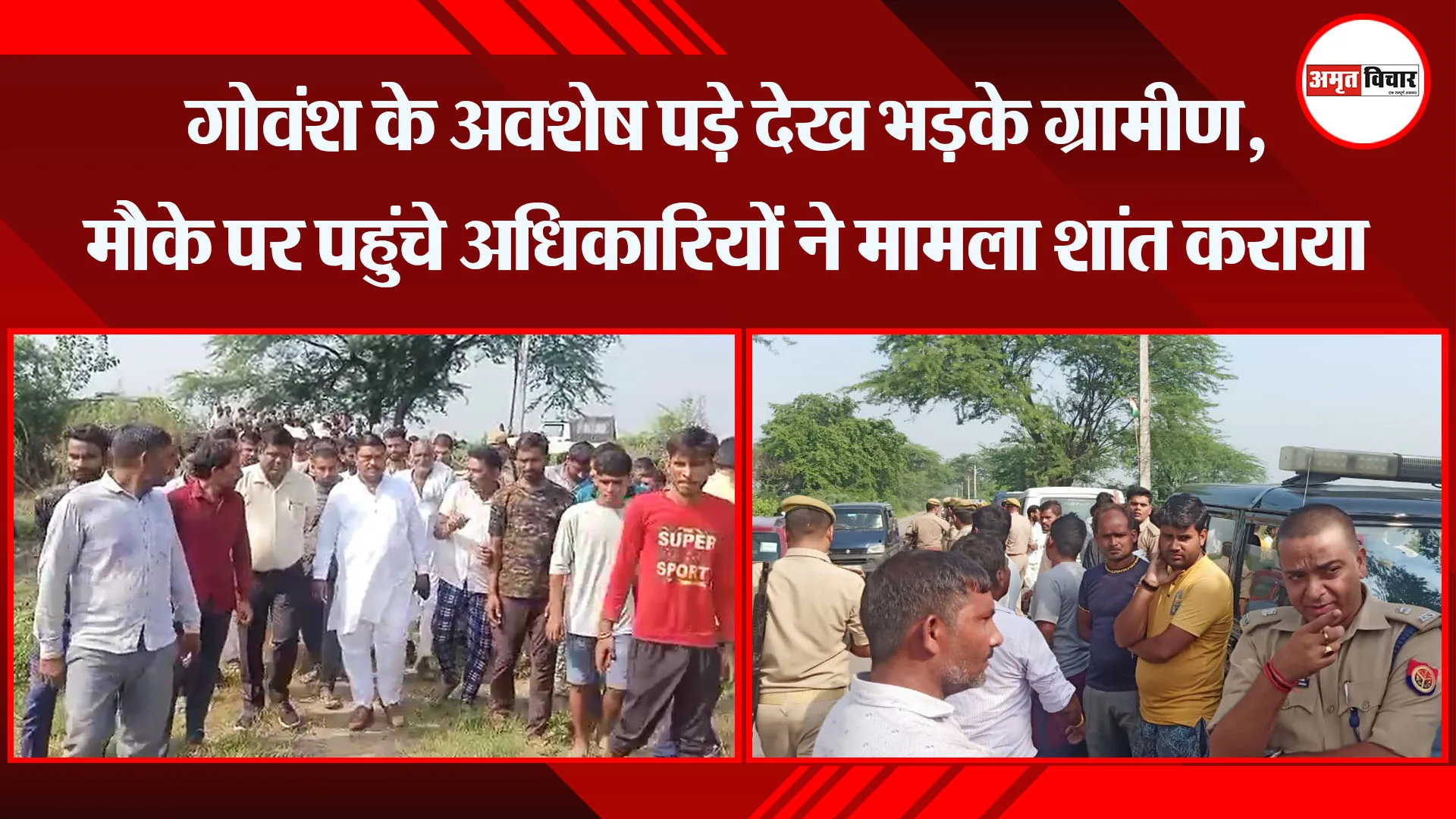 अमरोहा: गोवंश के अवशेष पड़े देख भड़के ग्रामीण, मौके पर पहुंचे अधिकारियों ने मामला शांत कराया