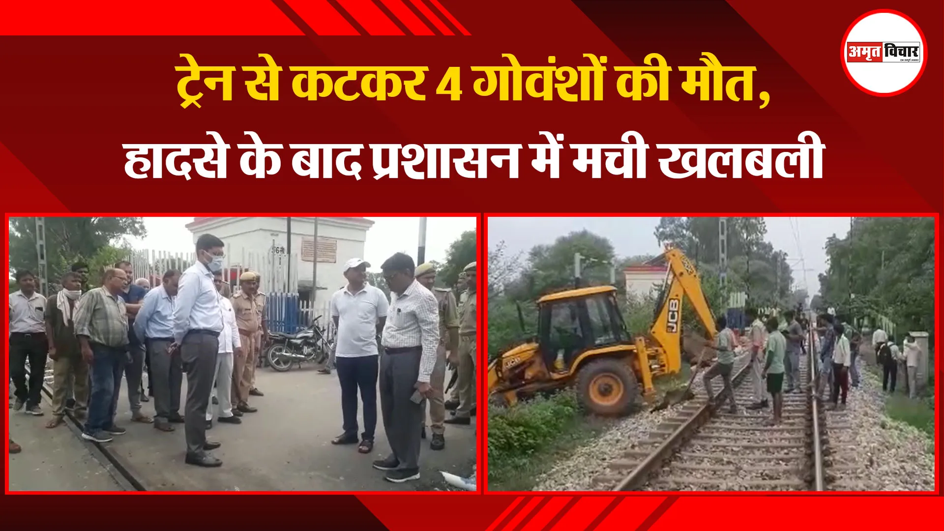 संभल: ट्रेन से कटकर 4 गोवंशों की मौत, हादसे के बाद प्रशासन में मची खलबली