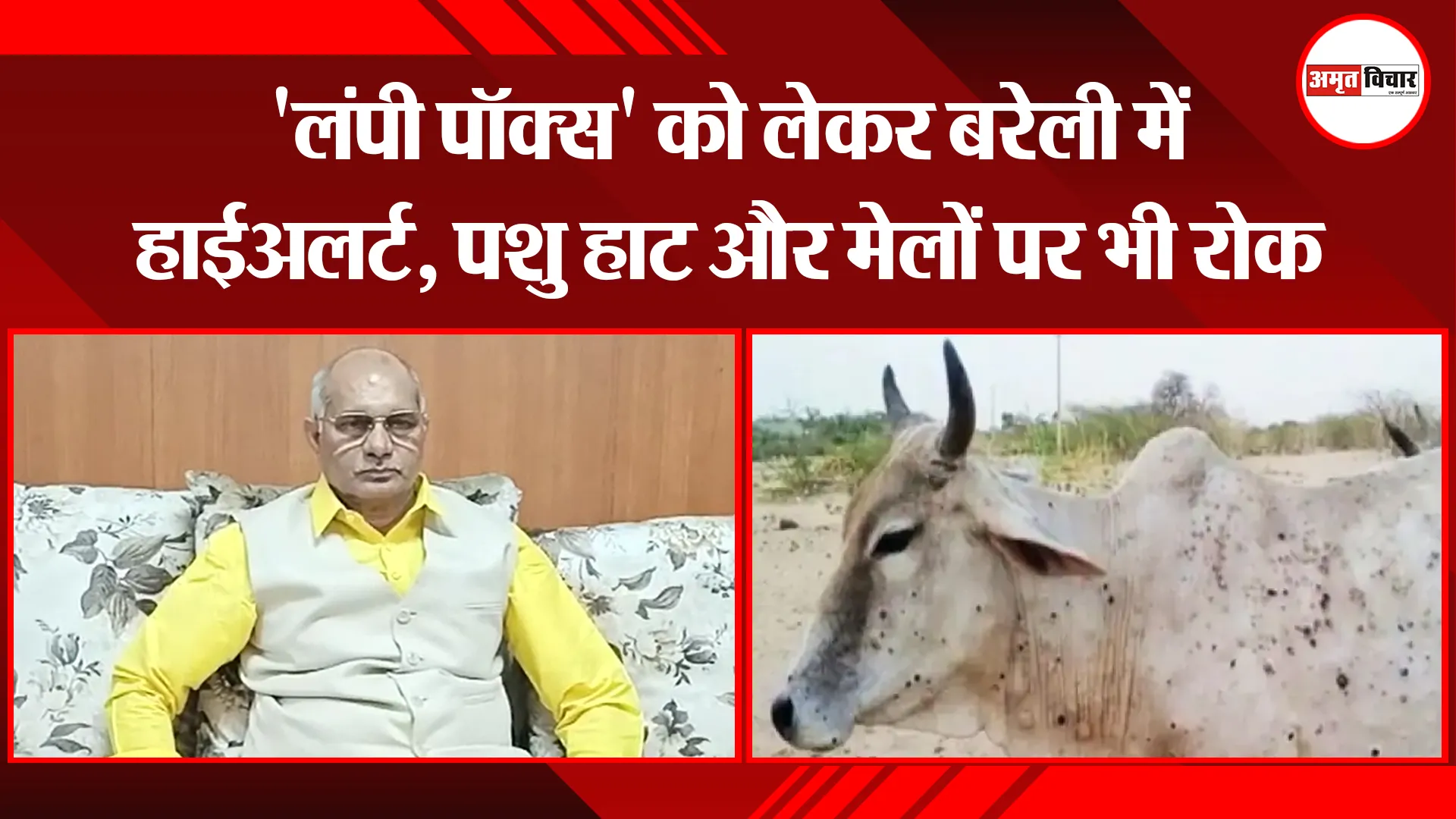 बरेली: ‘लंपी पॉक्स’ को लेकर बरेली में हाईअलर्ट, पशु हाट और मेलों पर भी रोक