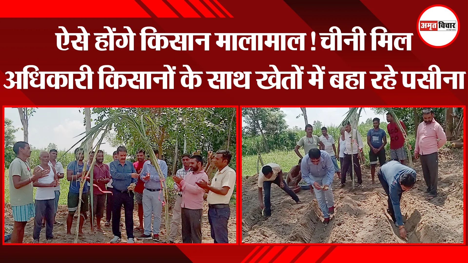 बरेली: ऐसे होंगे किसान मालामाल! चीनी मिल अधिकारी किसानों के साथ खेतों में बहा रहे पसीना