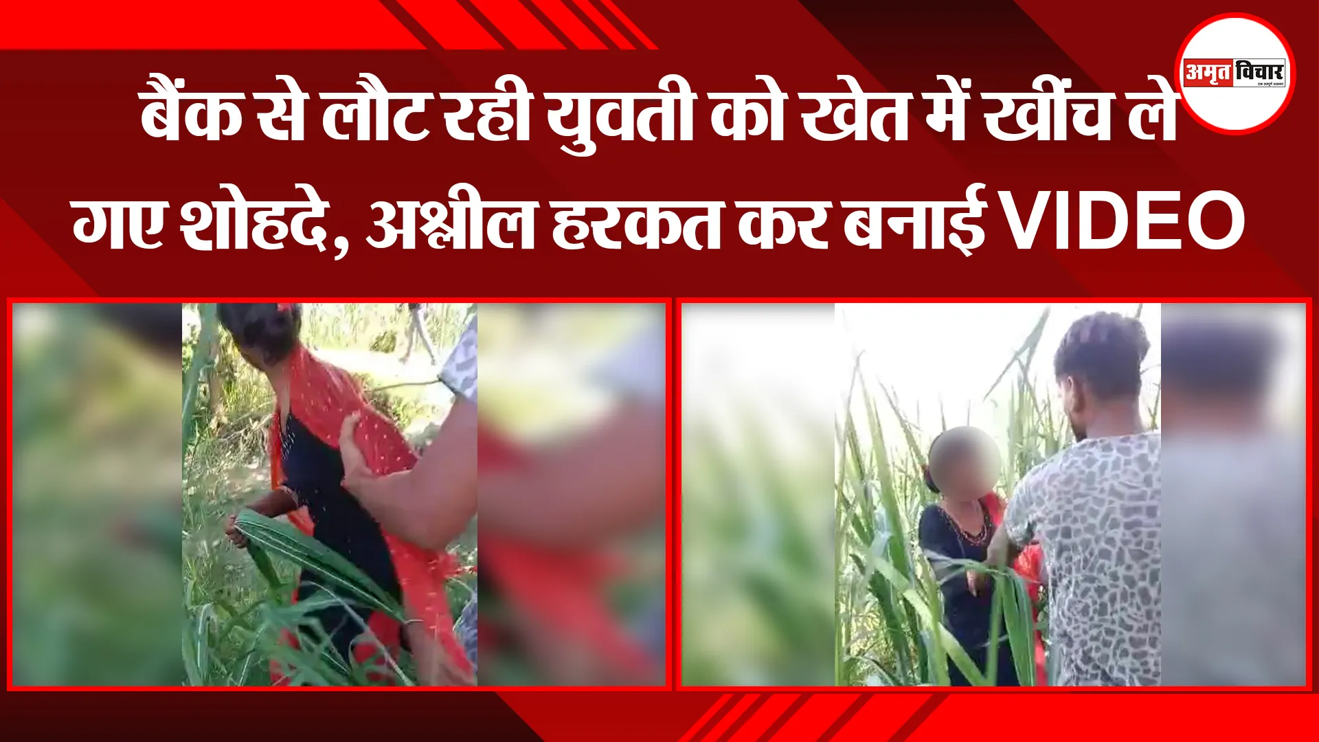 पीलीभीत: बैंक से लौट रही युवती को खेत में खींच ले गए शोहदे, अश्लील हरक़त कर बनाई VIDEO