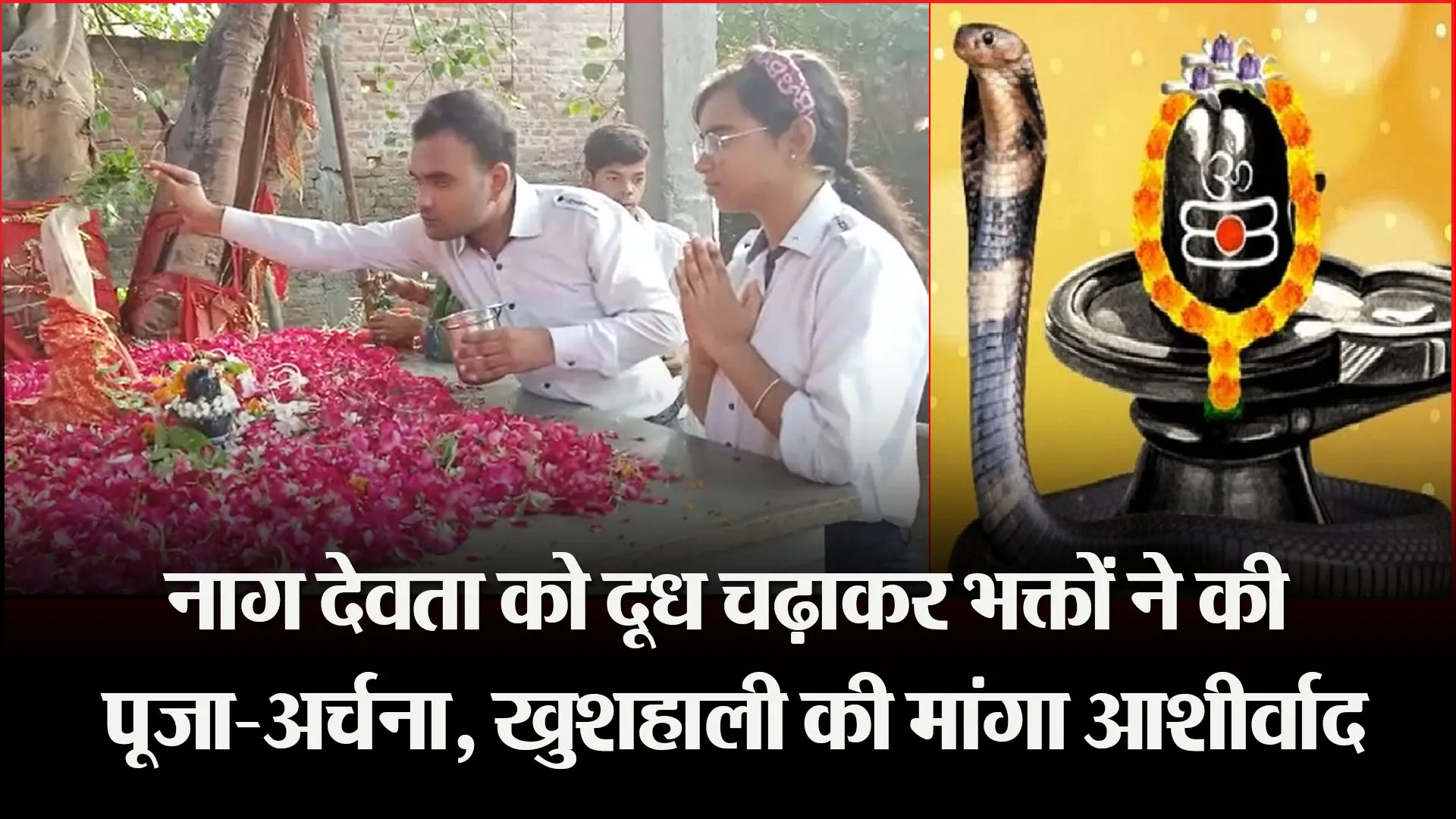 बरेली: नाग देवता को दूध चढ़ाकर भक्तों ने की पूजा-अर्चना, खुशहाली की मांगा आशीर्वाद