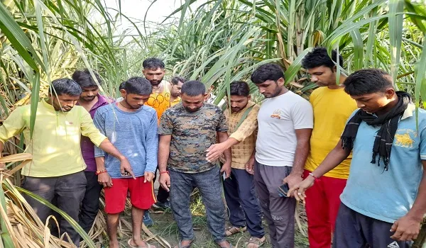 अमरोहा : गन्ने के खेत में मिले गोवंशों के अवशेष, ग्रामीणों ने किया प्रदर्शन