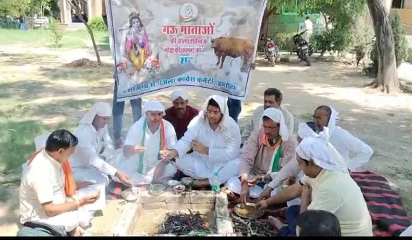 अमरोहा: गायों की आत्मा की शांति के लिए कांग्रेसियों ने कलेक्ट्रेट पर किया हवन यज्ञ