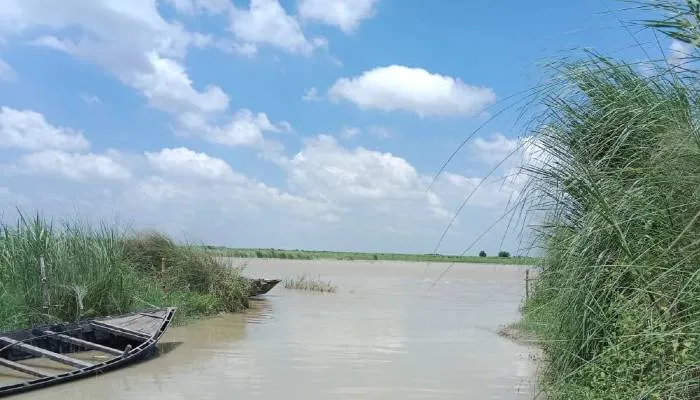 अयोध्या: सरयू नदी का जल स्तर बढ़ने से फसलें डूबीं, चारे का संकट गहराया