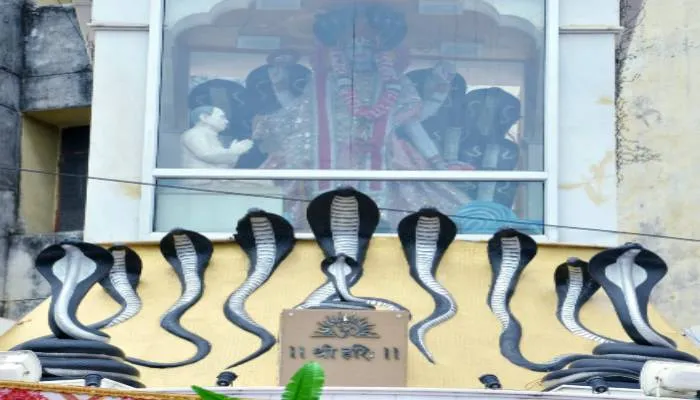 कानपुर: शिव योग में कल होगी नाग देवता की पूजा, विभिन्न अखाड़ों में होगा कुश्ती का आयोजन