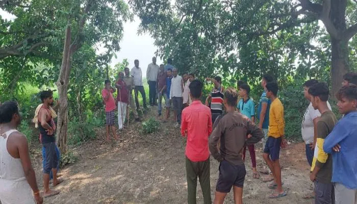 अयोध्या: दोबारा दिखा तेंदुआ, मचा हड़कंप, खाली हाथ है वन विभाग की टीम