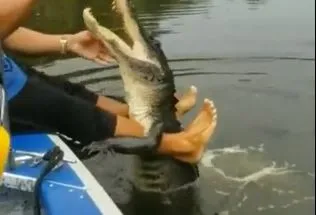 Viral Video: शख्स ने मगरमच्छ को प्यार से खिलाया खाना, वीडियो देख आप भी रह जाएंगे दंग