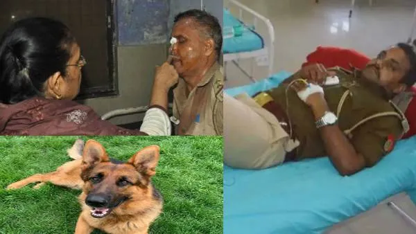 चोर को पकड़ने पटना आई यूपी पुलिस, आरोपियों ने कमरे में बंदकर कुत्ते से कटवाया