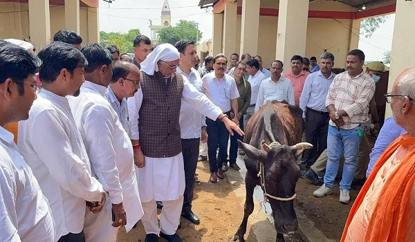 अमरोहा गोवंश मौत मामला : पशुधन मंत्री धर्मपाल सिंह ने लिया गोशाला का जायजा, कहा- जांच में दोषी पाए जाने पर होगी कार्रवाई