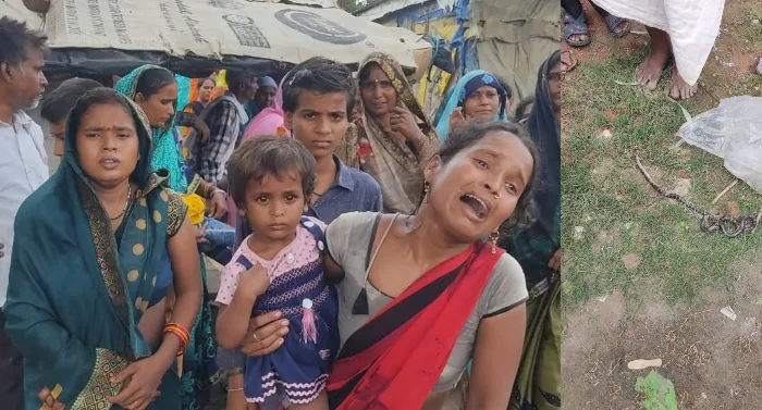 बहराइच: किशोरी को काटने के बाद पैर से लिपट गया करैत सांप, मौत