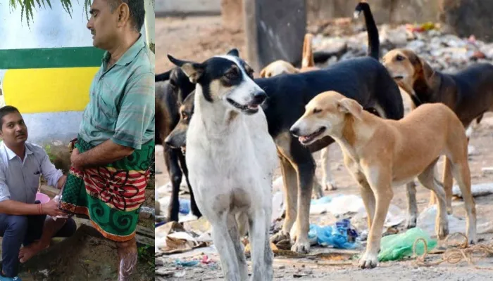 सीतापुर: शिक्षक पर कुत्तों ने किया हमला,  गांव में भेली दहशत, गंभीर जख्मी