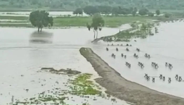 बुलंदशहर में बना करोड़ों का बांध हुआ धराशायी, डेढ़ साल पहले सीएम ने किया था शिलान्यास