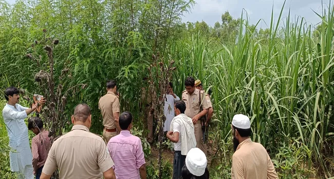 बिजनौर : घर में चारपाई पर सो रही छह माह की बच्ची को उठा ले गया गुलदार, ग्रामीणों में दहशत का माहौल