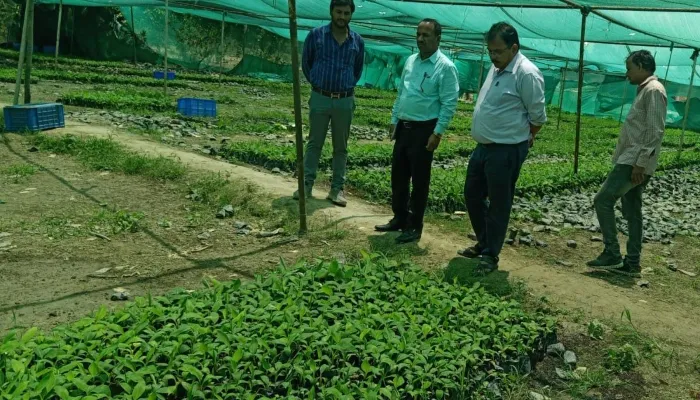 बाराबंकी: संयुक्त निदेशक उद्यान ने किया उद्यान विभाग के कार्यक्रमों का निरीक्षण