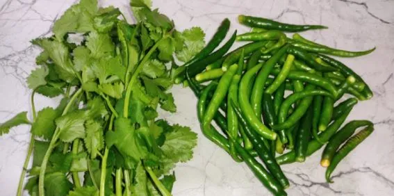 धनिया हो या हरी मिर्च, महीनों तक करें स्टोर, बस अपनाएं ये आसान तरीका