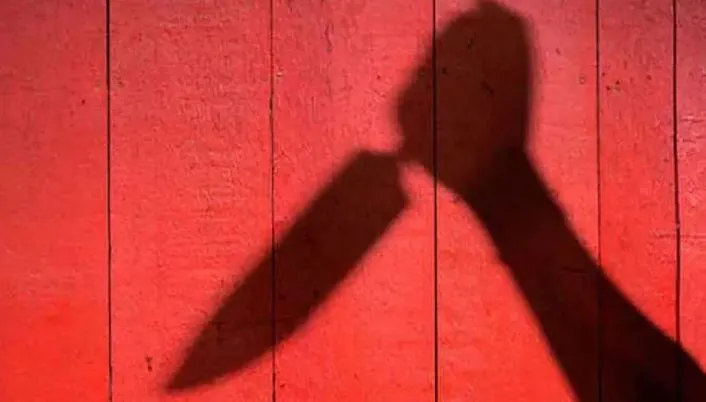 पत्नी ने रात के खाने में नहीं बनाई बिरयानी, पति ने घोंप दिया चाकू
