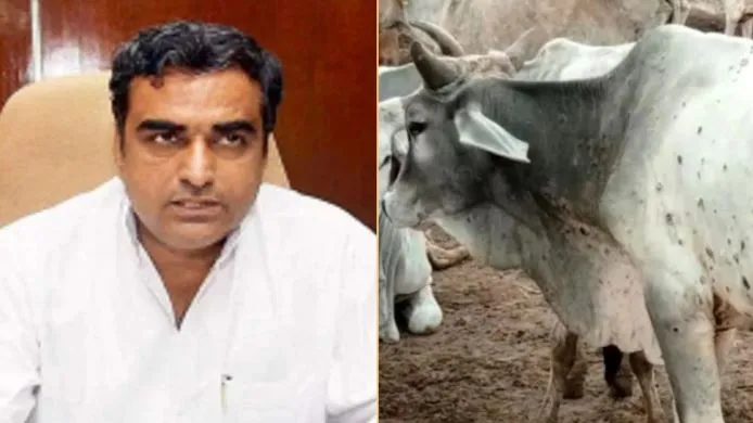 गौवंश को लंपी से बचाना राज्य सरकार की सर्वोच्च प्राथमिकता- मंत्री कटारिया
