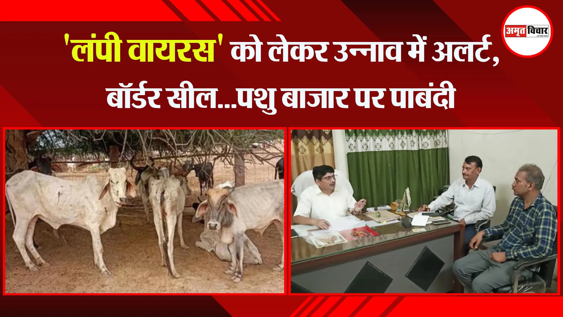 उन्नाव: ‘लंपी वायरस’ को लेकर उन्नाव में अलर्ट, बॉर्डर सील…पशु बाजार पर पाबंदी