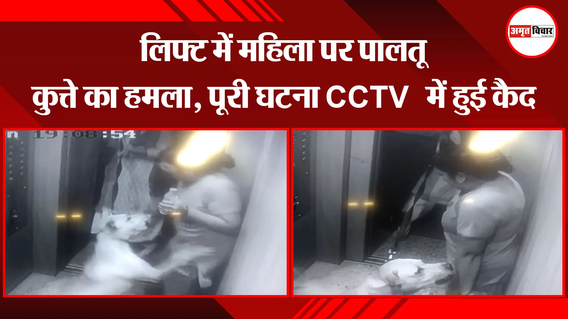 मुरादाबाद: लिफ्ट में महिला पर पालतू कुत्ते का हमला, पूरी घटना CCTV  में हुई कैद