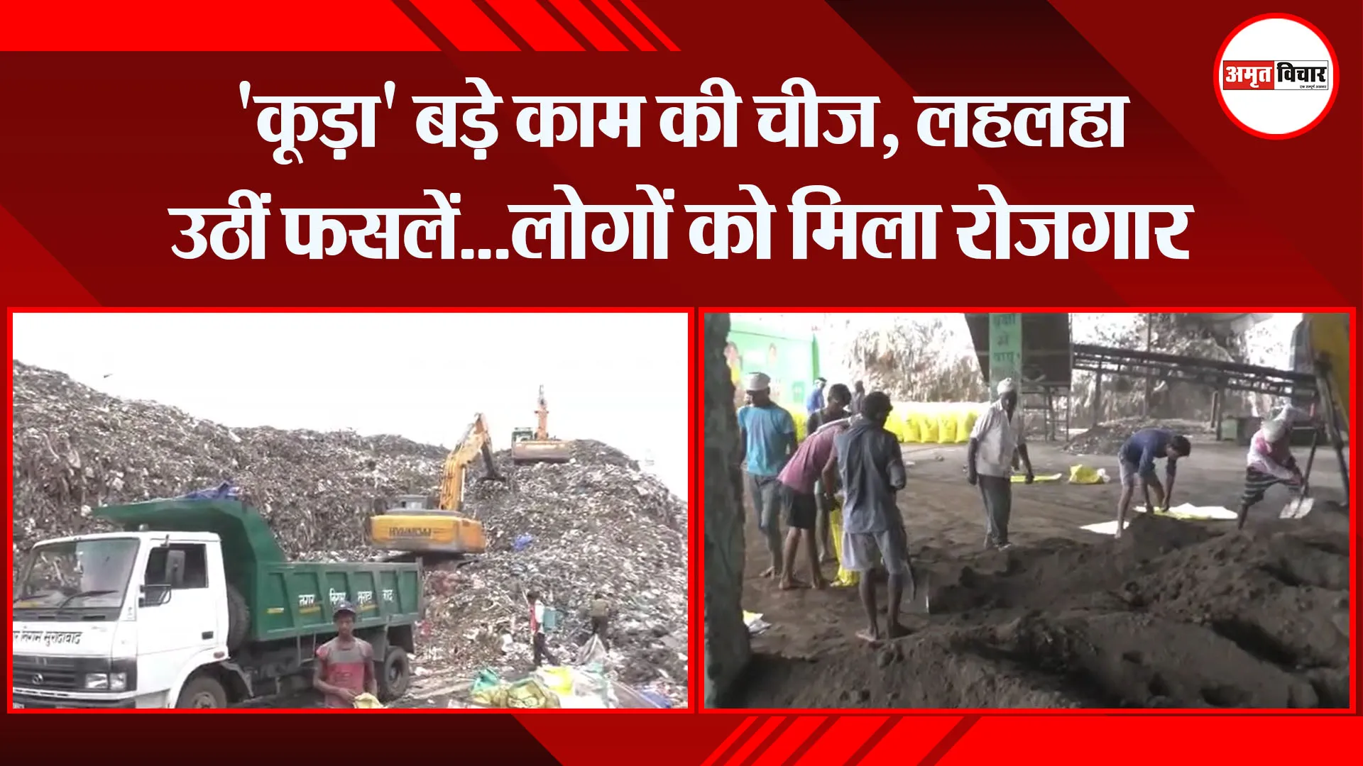 मुरादाबाद: ‘कूड़ा’ बड़े काम की चीज, लहलहा उठीं फसलें…लोगों को मिला रोजगार