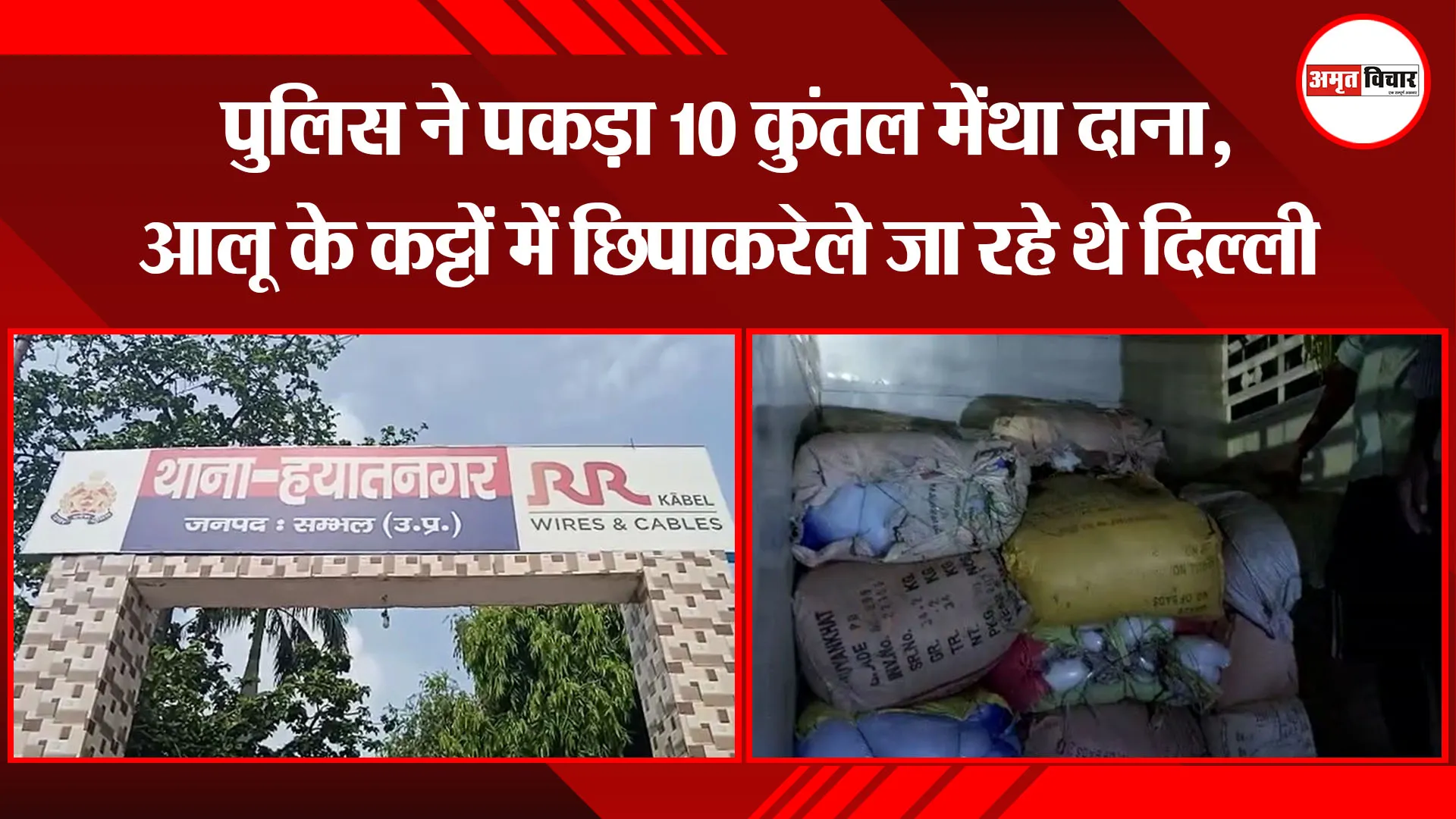 संभल: पुलिस ने पकड़ा 10 कुंतल मेंथा दाना, आलू के कट्टों में छिपाकर ले जा रहे थे दिल्ली