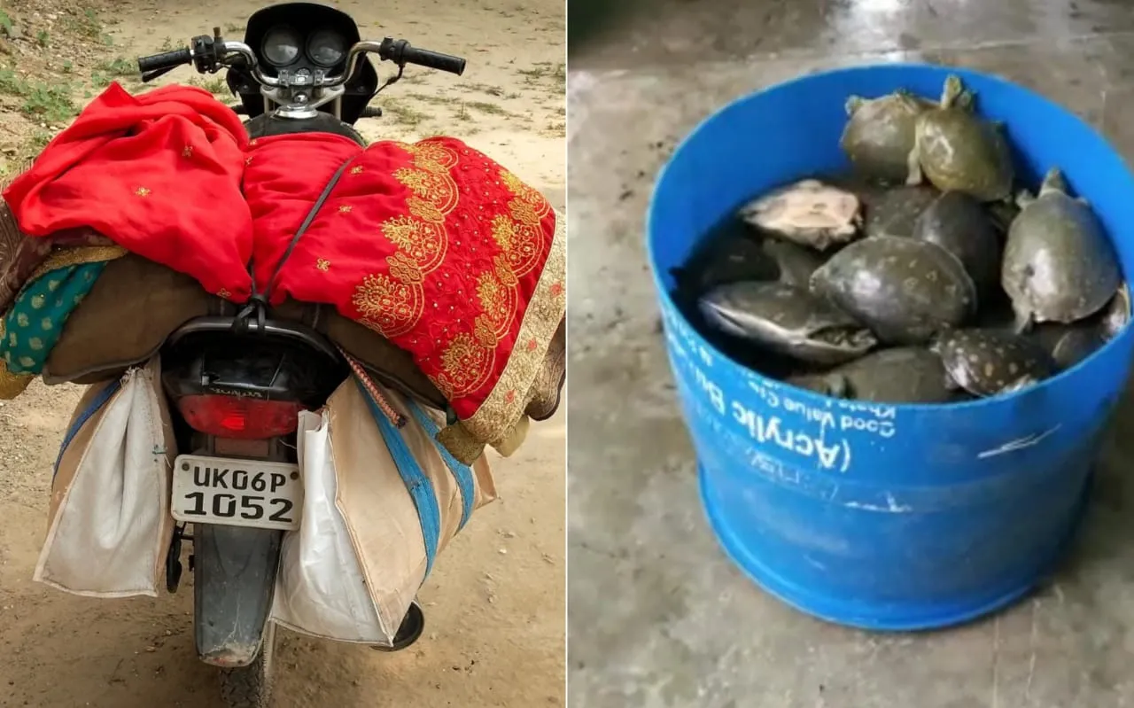 बदायूं: चेकिंग के दौरान पुलिस ने पकड़े 108 कछुआ, युवक बाइक छोड़ भागा