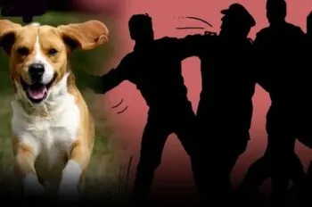 हल्द्वानी: तस्कर भाइयों ने पुलिसकर्मी को पीटा, कुत्ते से कटवाया, आरोपी दबोचे