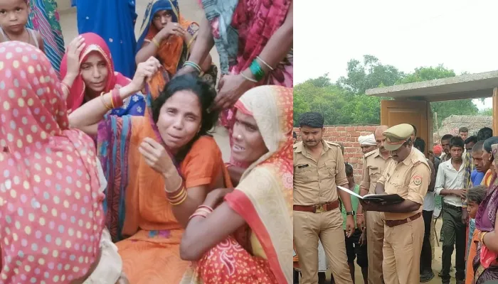 बहराइच: हाड़ा के छत्ते में मारा ढेला, खेल रहे किशोरों को नोचा, एक की मौत