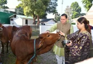 देहरादून: यहां ट्वीटर पर सीएम धामी ने गोवर्धन पर लोगों को दिया ये संदेश
