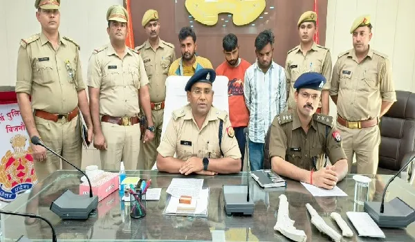 बिजनौर: वाहन चोर गिरोह का खुलासा, 11 वाहन बरामद