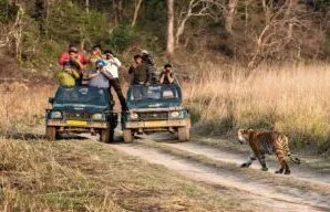 रामनगर: पर्यटकों के आने से गुलजार हुआ कार्बेट का पर्यटन जोन