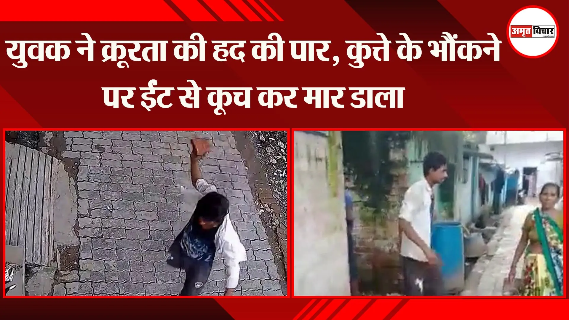 कानपुर: युवक ने क्रूरता की हद की पार, कुत्ते के भौंकने पर ईंट से कूच कर मार डाला