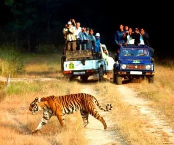 रामनगर: जल्द कॉर्बेट रिजर्व पार्क के गर्जिया जोन का लुफ्त उठाएंगे पर्यटक