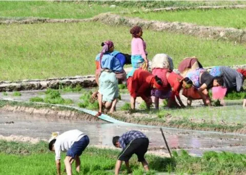 बागेश्वर: अश्विन माह आते ही बाजार में सन्नाटा, कामकाज में व्यस्त हुए ग्रामीण