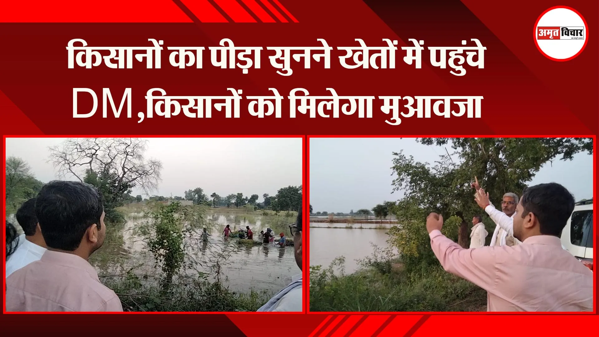 मथुरा: किसानों का पीड़ा सुनने खेतों में पहुंचे DM,किसानों को मिलेगा मुआवजा