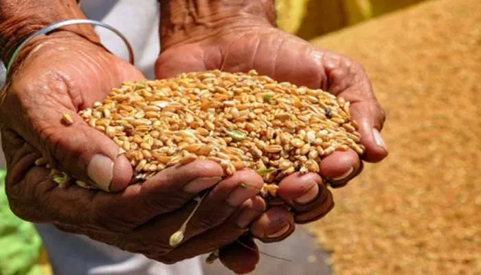 बरेली: बुकलेट के लिए परेशान होने की जरूरत नहीं, राशन फिर भी मिलेगा