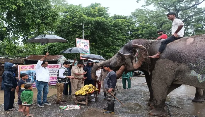 बहराइच: फल महोत्सव के साथ वन्य प्राणि सप्ताह का समापन