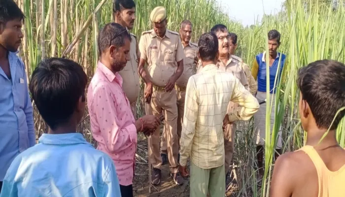 बहराइच: ग्रामीण को तेंदुए ने दौड़ाया, गाय को बनाया निवाला
