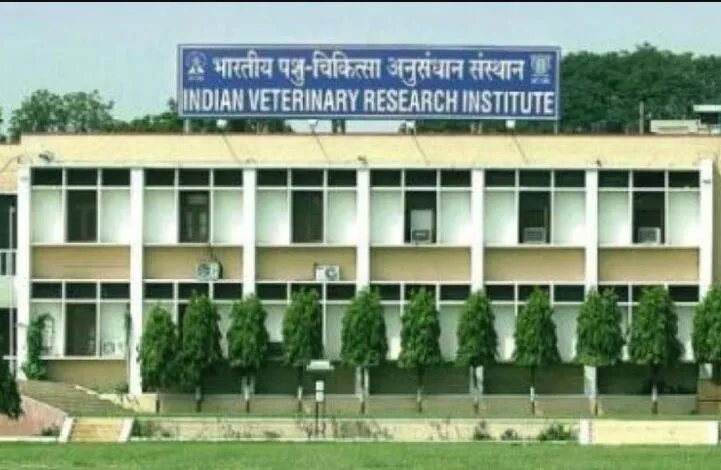 बरेली: बदले नियम, आईवीआरआई में सुबह 9 बजे से शुरू होगी पशुओं की ओपीडी