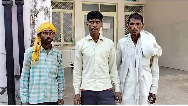 बरेली: सांप पकड़ना पड़ा महंगा, युवक को डसा, इलाज के दौरान मौत