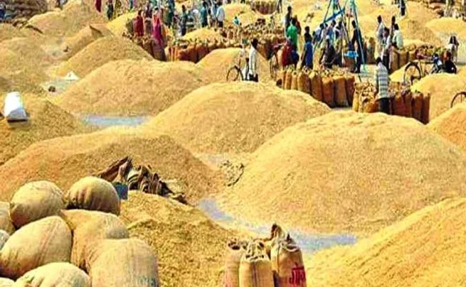 छत्तीसगढ़: एक नंबर से धान की खरीदी हो जाएगी शुरू, अवैध परिवहन रोकने के लिए बने 12 चेकपोस्ट
