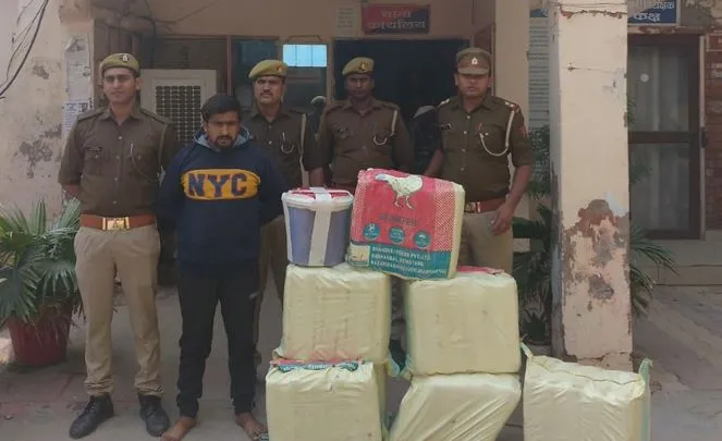मथुरा: 25 लाख रुपये के गांजे के साथ एक गिरफ्तार, दो फरार
