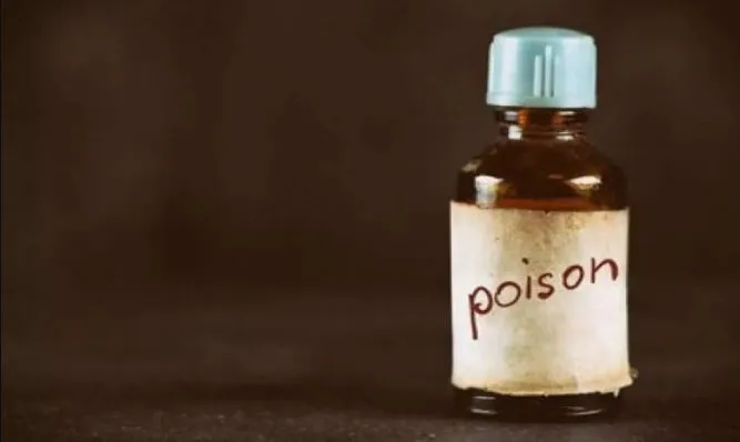 बरेली: भाई से कहासुनी होने पर युवती ने पिया तेजाब, जानें क्या है पूरा मामला