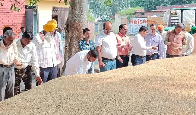 पीलीभीत: 161 सेंटरों पर नहीं हो सकी धान की खरीद, आ रही 22 फीसदी नमी