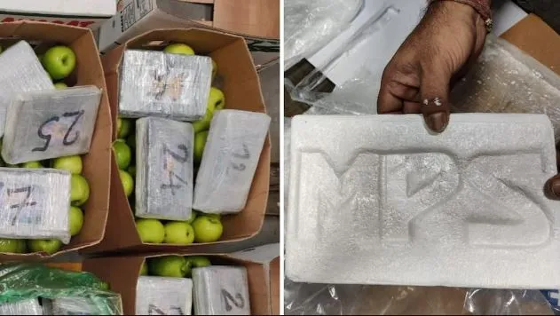 डीआरआई का बड़ा एक्शन, मुंबई के पास बंदरगाह पर 502 करोड़ रुपये की कोकीन जब्त
